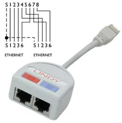 Lindy UTP Port Doubler cable de red Gris